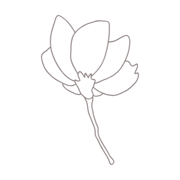 목련, magnolia, 꽃, flower, 봄, 봄꽃, spring, 봄에피는꽃, 식물, 목련화