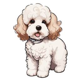 푸들, 푸들강아지, 푸들그림, 푸들강아지그림, a, poodle, dog, 강아지, 강아지그림, 귀여운강아지, 멍멍이, 댕댕이, 소형견