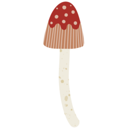버섯, 식물, mushroom, plant