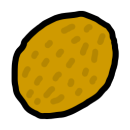 과일, fruit, kiwi, 키위