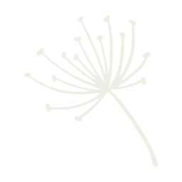 손그림, 꾸밈요소, 자연, 꽃, 벚꽃, 일러요소, 민들레, 민들레홑씨