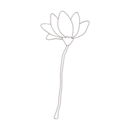목련, magnolia, 꽃, flower, 봄, 봄꽃, spring, 봄에피는꽃, 식물, 목련화
