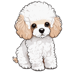 푸들, 푸들강아지, 푸들그림, 푸들강아지그림, a, poodle, dog, 강아지, 강아지그림, 귀여운강아지, 멍멍이, 댕댕이, 소형견