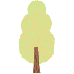 봄, 나무, 트리, tree, 봄나무, 여름나무, 사철나무, 귀여운나무, 자연, 식물, 4월, 식목일, 4월5일