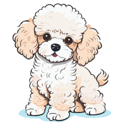 푸들, 푸들강아지, 푸들그림, 푸들강아지그림, a, poodle, dog, 강아지, 강아지그림, 귀여운강아지, 멍멍이, 댕댕이, 소형견