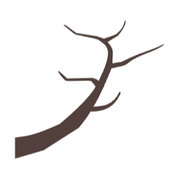 나뭇가지, 나무, 겨울나무, tree
