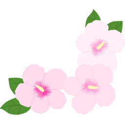무궁화, 꽃, 대한민국, 국가꽃, 장미과, 붉은색, 꽃잎, 상징, 아름다움, 여름, 나무, 향기, 꽃말, 순수, 전통, 무궁화나무, 한국의, 자생식물, 국화, 열매, 백색, 경관식물, 꽃의, 종류, 봄과