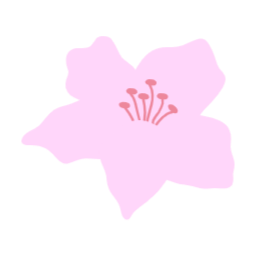 진달래, 봄꽃, 봄에피는꽃, 봄, spring, azalea, 철쭉, royalazale, blossom, 핑크꽃