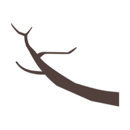 나뭇가지, 나무, 겨울나무, tree