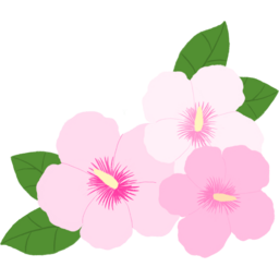 무궁화, 꽃, 대한민국, 국가꽃, 장미과, 붉은색, 꽃잎, 상징, 아름다움, 여름, 나무, 향기, 꽃말, 순수, 전통, 무궁화나무, 한국의, 자생식물, 국화, 열매, 백색, 경관식물, 꽃의, 종류, 봄과
