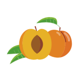살구, 일러스트, 이미지, png, 주황색, 과일, 그림, 열매, 