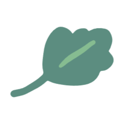 몬스테라, 몬스테라잎, 잎, 나뭇잎, 잎사귀, 잎파리, 식물, leaf, leaves, greenleaf