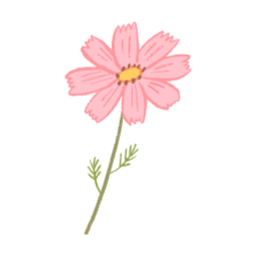 가을, 꽃, 코스모스, 꽃잎, 가을꽃