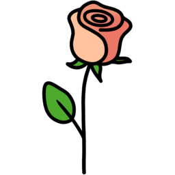 장미, 단순한장미, 깔끔한장미, 귀여운, 귀여운장미, 분홍색장미, 노란색장미, 꽃, 심플장미, 노란장미