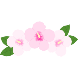 무궁화, 꽃, 대한민국, 국가꽃, 장미과, 붉은색, 꽃잎, 상징, 아름다움, 여름, 나무, 향기, 꽃말, 순수, 전통, 무궁화나무, 한국의, 자생식물, 국화, 열매, 백색, 경관식물, 꽃의, 종류, 봄과