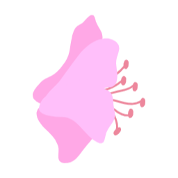 진달래, 봄꽃, 봄에피는꽃, 봄, spring, azalea, 철쭉, royalazale, blossom, 핑크꽃
