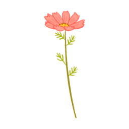 가을, 꽃, 코스모스, 꽃잎, 가을꽃