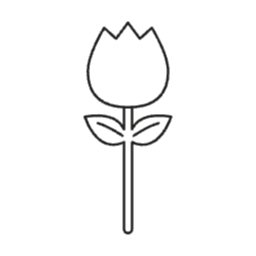 꽃, 색칠, 색칠놀이, 꽃집, 식물, 식집사, 취미, 가정의달, 놀이, 어린이