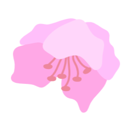 진달래, 봄꽃, 봄에피는꽃, 봄, spring, azalea, 철쭉, royalazale, blossom, 핑크꽃