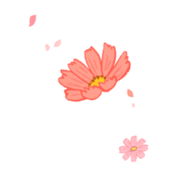 가을, 꽃, 코스모스, 꽃잎, 가을꽃, 컨페티