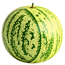 cantaloupe, 멜론, 과일, fruit
