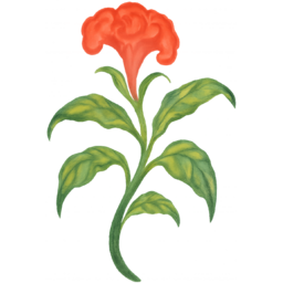 멸종위기, 식물, 희귀생물, 보호종, 멸종위기식물, 환경보호, 생물다양성, 지구의날, 생태그림, 자연일러스트, 먹물드로잉, 연필스케치, 손그림스타일, 수묵화느낌, 감성일러스트, 한국화스타일, 자연드로잉, 희귀식물, 야생화그림, 숲속동물, 식물일러스트, 교육자료, 인테리어소품, 투명배경PNG, 스톡일러스트