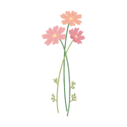 가을, 꽃, 코스모스, 꽃잎, 가을꽃