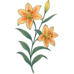 멸종위기, 식물, 희귀생물, 보호종, 멸종위기식물, 환경보호, 생물다양성, 지구의날, 생태그림, 자연일러스트, 먹물드로잉, 연필스케치, 손그림스타일, 수묵화느낌, 감성일러스트, 한국화스타일, 자연드로잉, 희귀식물, 야생화그림, 숲속동물, 식물일러스트, 교육자료, 인테리어소품, 투명배경PNG, 스톡일러스트
