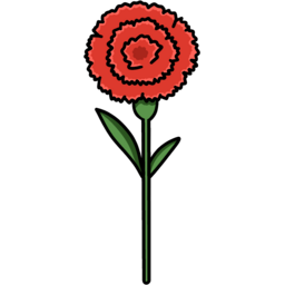 카네이션, 어버이날, 스승의날, 감사, 감사합니다, 어버이은혜, 스승의은혜, 사랑합니다, 사랑, 은혜, 은사님, 은사, 꽃, 한송이