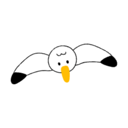 갈매기, 새, 바다, 동물