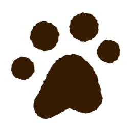 강아지, 발바닥, 강아지발바닥, 개, 반려동물, 고양이, 고양이발바닥, 동물발바닥, 동물발자국, 발자국, 손그림, 색연필, 발, 발모양