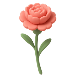 카네이션, 감사, 스승의날, 어버이날, 5월, 고맙습니다, 가족
