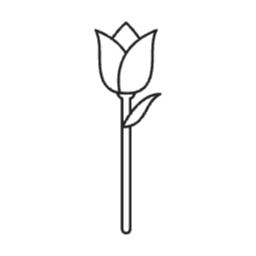 꽃, 색칠, 색칠놀이, 꽃집, 식물, 식집사, 취미, 가정의달, 놀이, 어린이