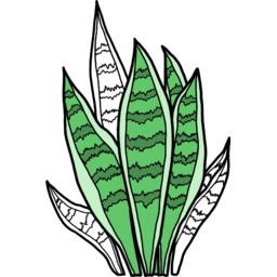 산세베리아, 식물, 공기정화, 식물일러스트, 화분