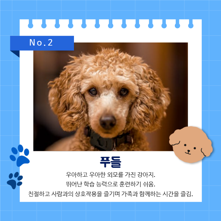 강아지 백과사전