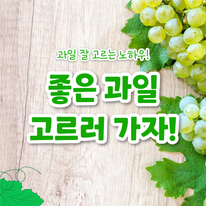 좋은 과일 고르는 꿀팁 (카드뉴스)