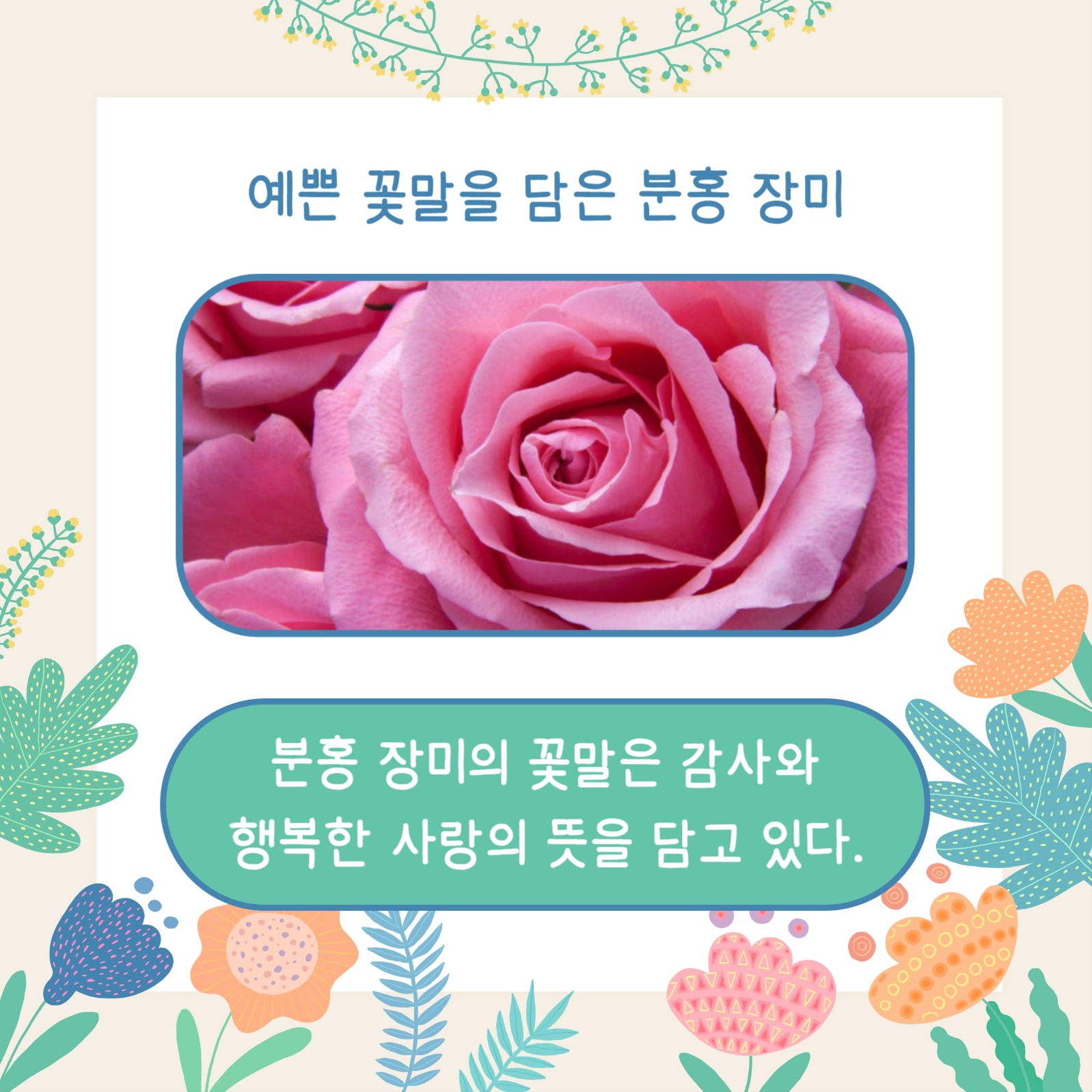 꽃말 예쁜 꽃 (카드뉴스)