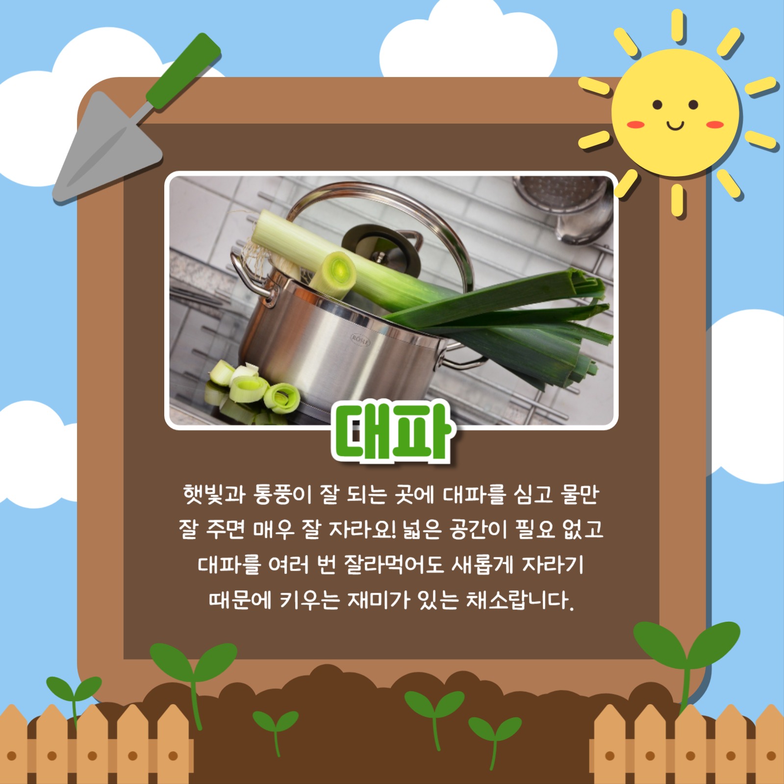 키우기 좋은 채소 카드뉴스