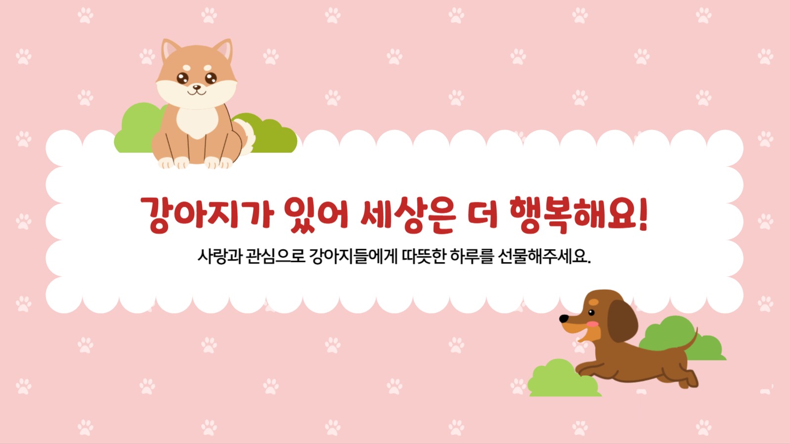 국제 강아지의날 행사