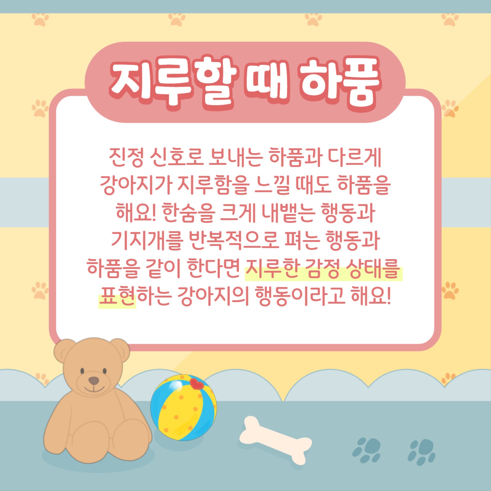 강아지 하품 알기