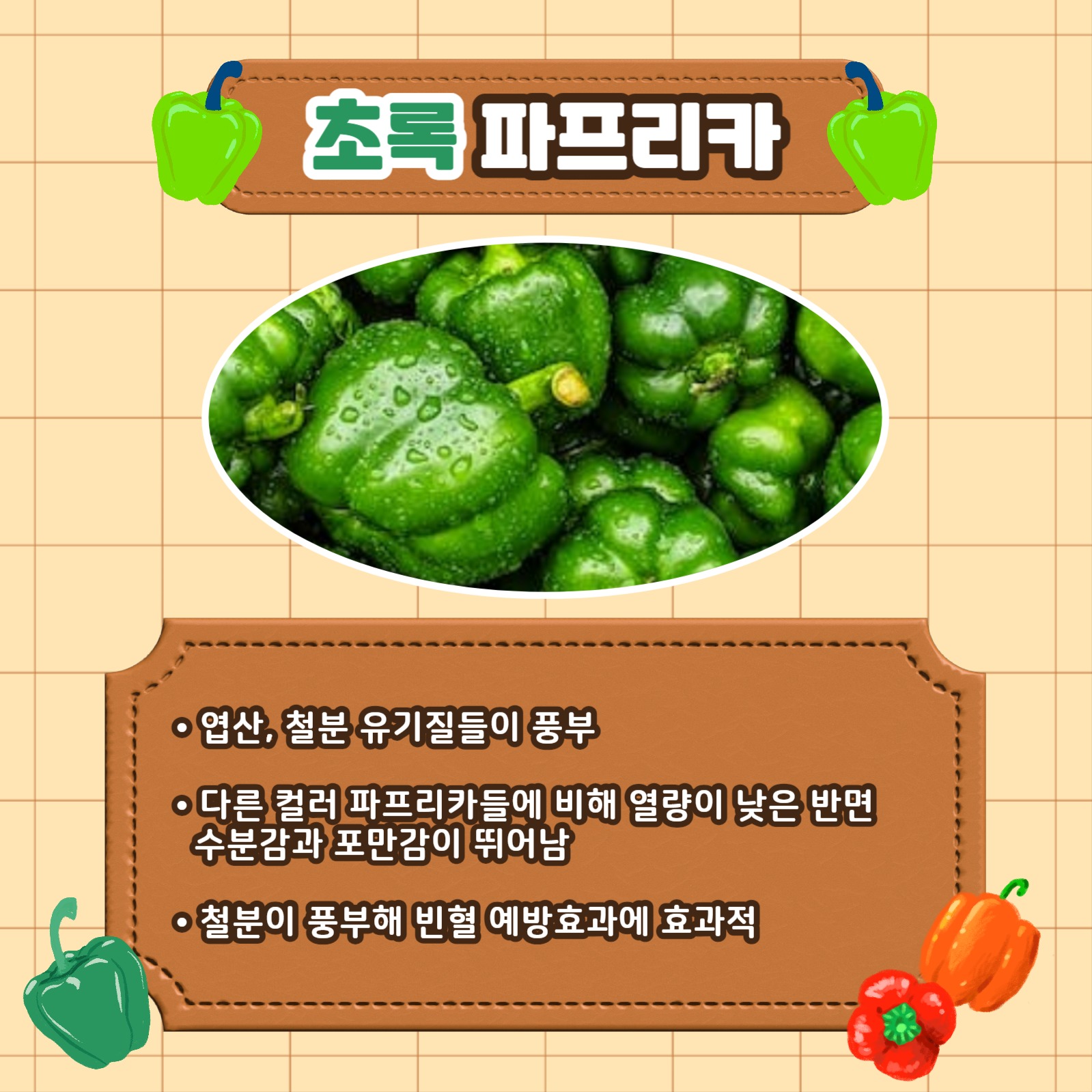 파프리카의 효능 카드뉴스