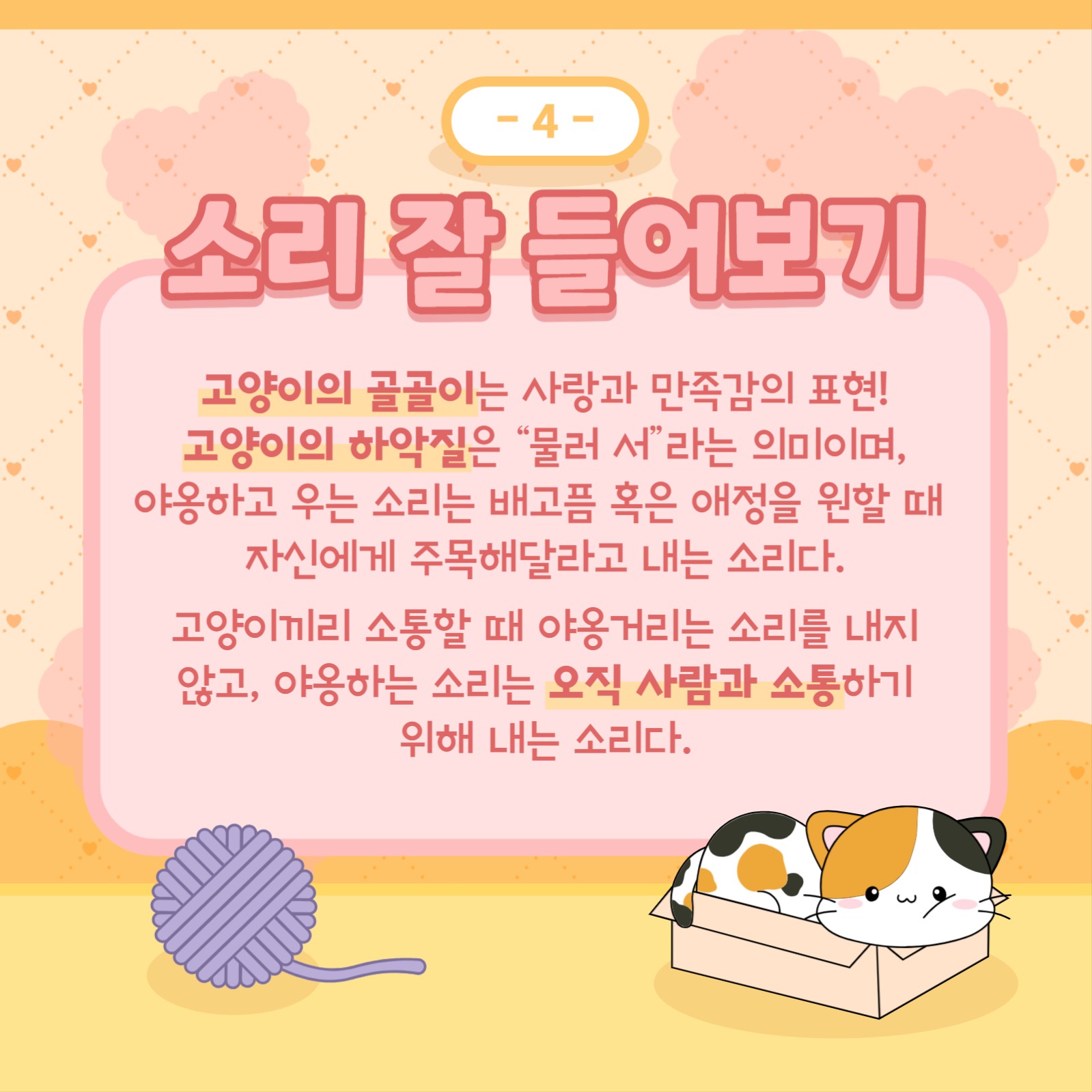 반려묘 템플릿