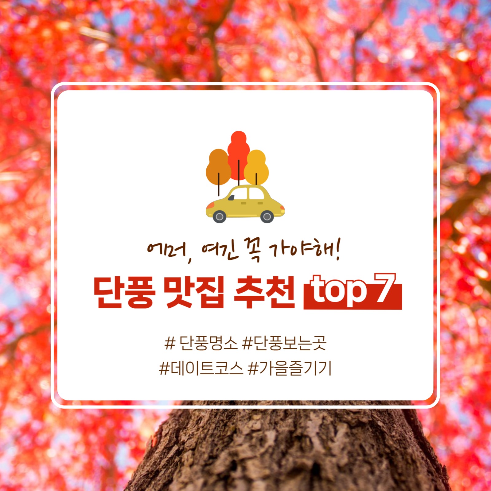 갈색의 가을 세일 소셜 포스트