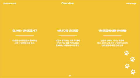 반려동물 케어 서비스 발표 프레젠테션