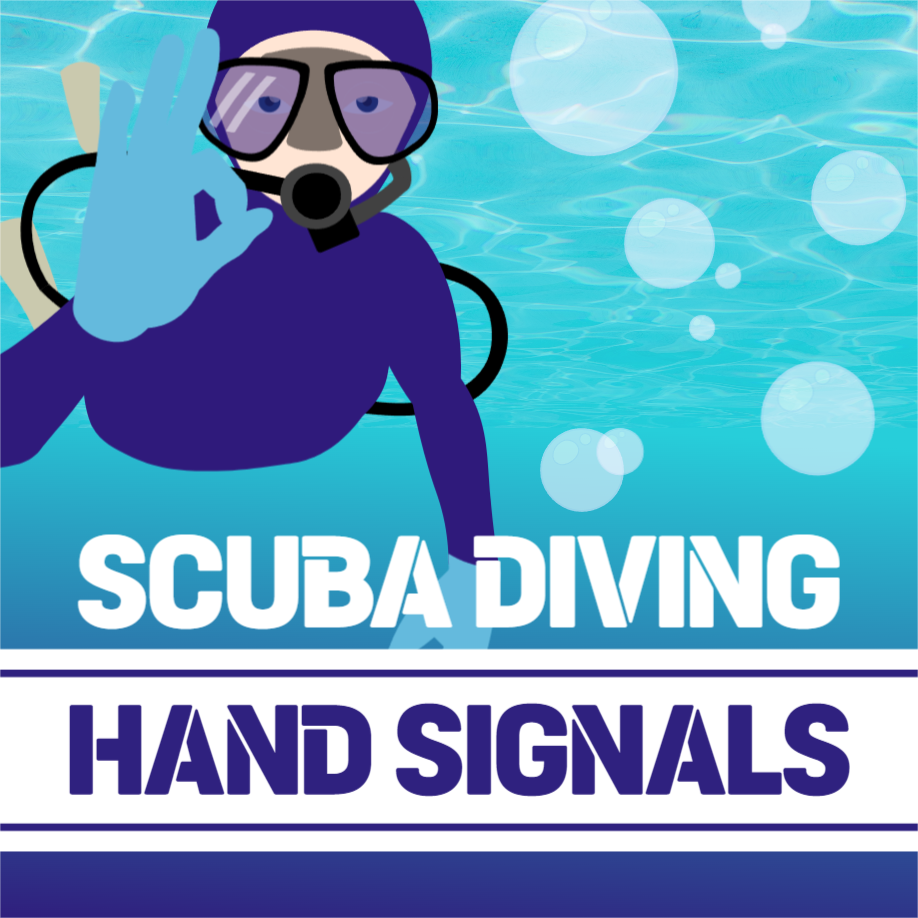 스쿠버다이빙 수신호 인스타