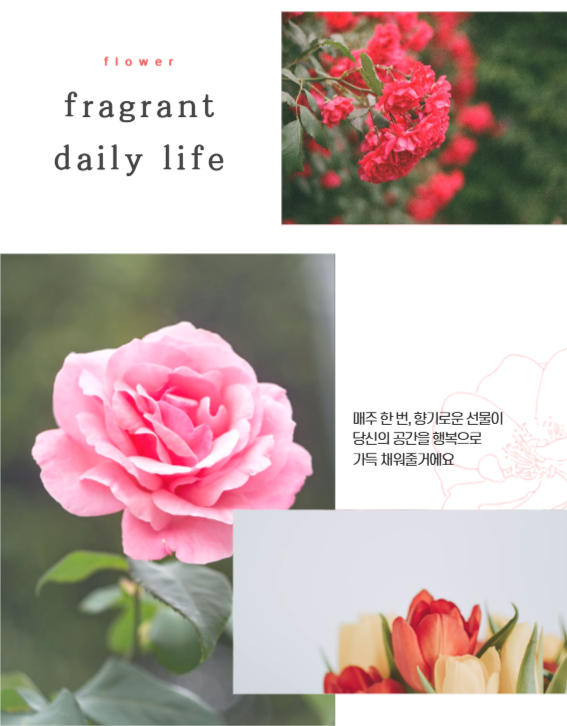 꽃정기구독 상세페이지