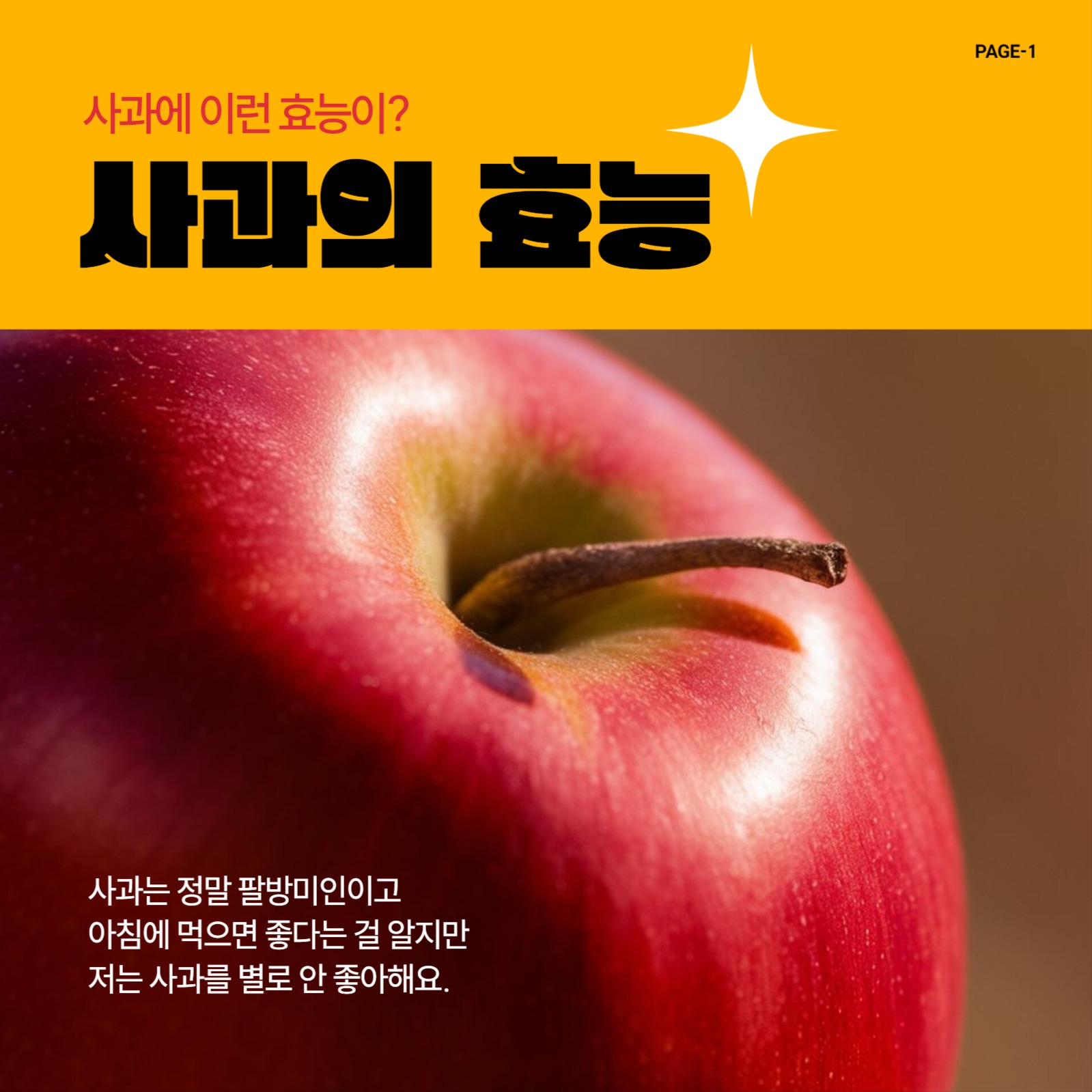 정보전달용 카드뉴스