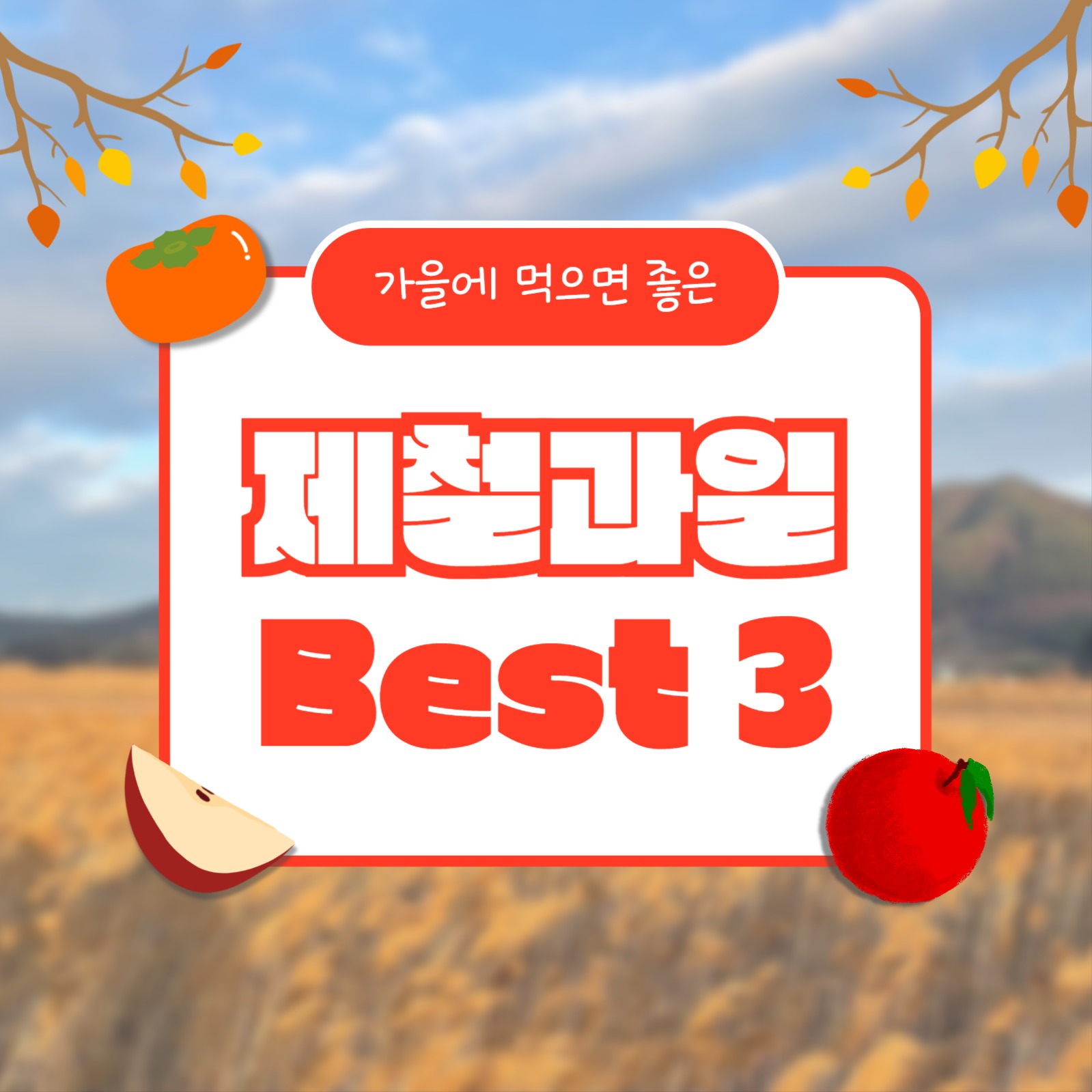 제철과일 Best 3 (카드뉴스)