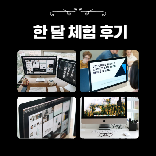 템플릿 한 달 체험 후기 (카드뉴스)