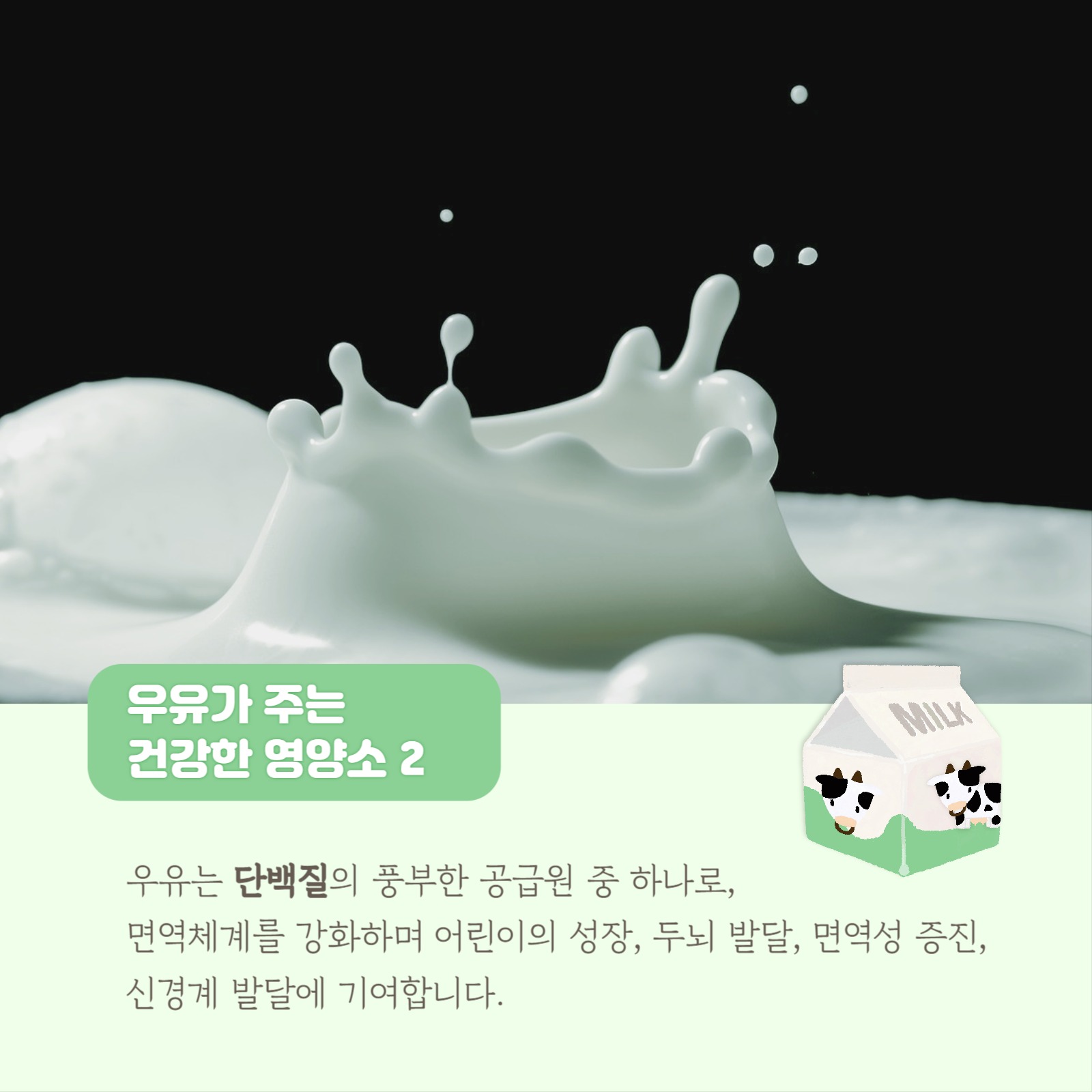 우유가 주는 건강한 영양소